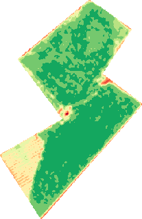 Field NDVI image example