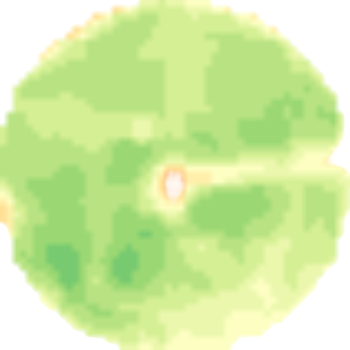 NDVI image example